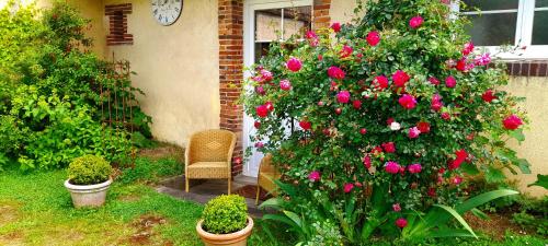 Gîte Sous le Tilleul - Tourouvre - Perche