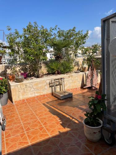 MP Cozy Apartment Near the Sea 5
