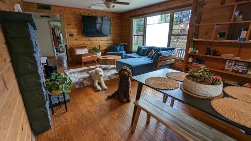 Cheerful Master Suite w/ Private Entrance