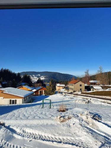 Bel appartement dans une ferme Vosgienne