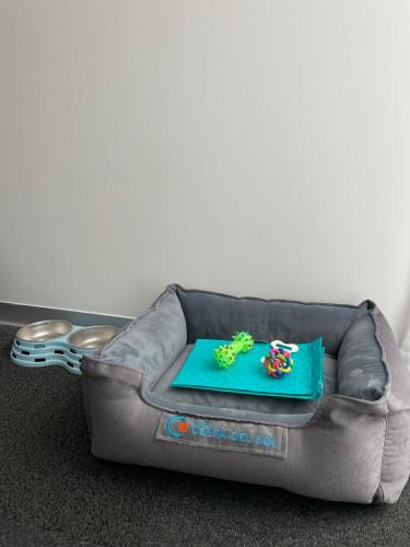 Wyndham Costa del Sol Lima City