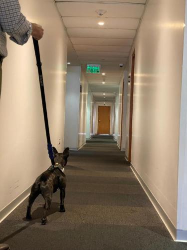 Wyndham Costa del Sol Lima City