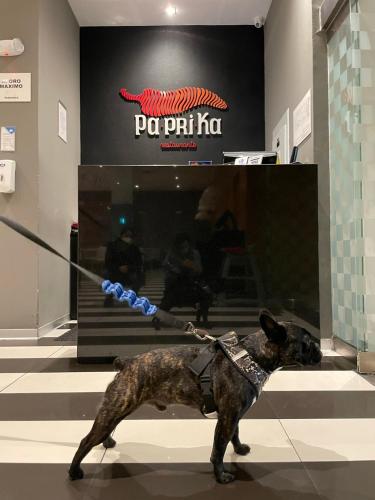 Wyndham Costa del Sol Lima City