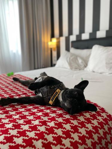 Wyndham Costa del Sol Lima City