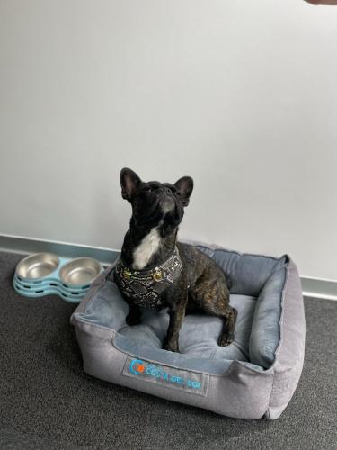 Wyndham Costa del Sol Lima City