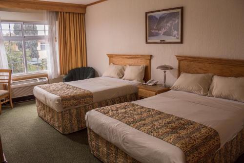 Hotel Sicomoro Room Type - Deluxe Twin Room