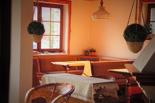 Pension Luscinia in Harrachov