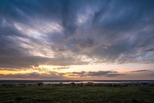 Lake Ndutu Luxury Tented Lodge