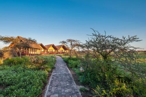 Lake Ndutu Luxury Tented Lodge