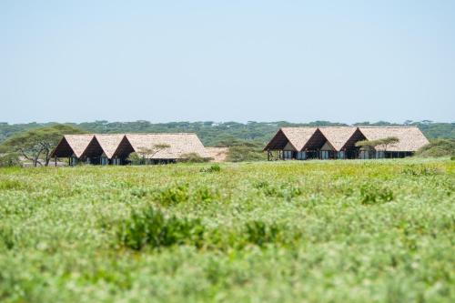 Lake Ndutu Luxury Tented Lodge