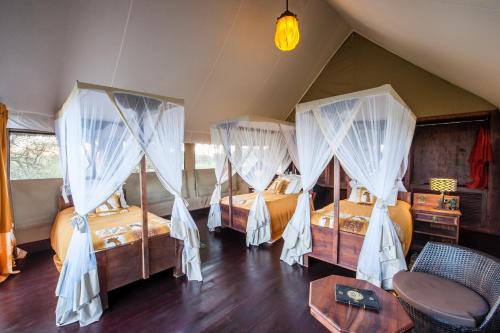 Lake Ndutu Luxury Tented Lodge in Ngorongoro