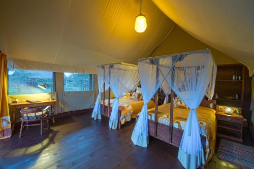 Lake Ndutu Luxury Tented Lodge