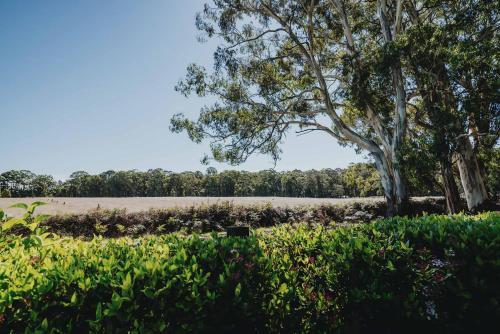 The Gums - Daylesford Region in Korweinguboora