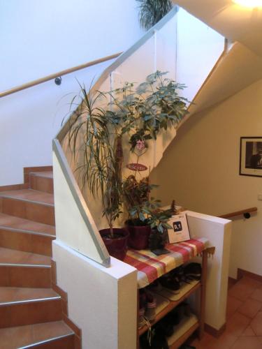 Haus Rye B&B – Obertraun, MI