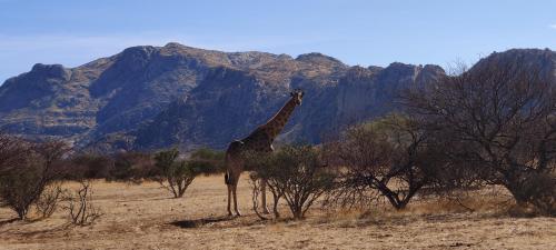 Ai Aiba - The Rock Painting Lodge Ai Aiba - The Rock Painting Lodge