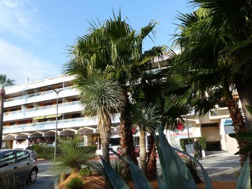 Appartement Le Lavandou, 2 pièces, 4 personnes - FR-1-308-123 - Location saisonnière - Le Lavandou