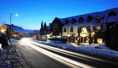 Park Hotel Pruhonice - image 10