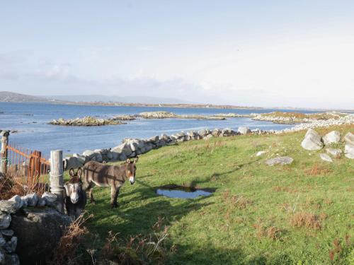 Teach Teolai  Carraroe - image 7