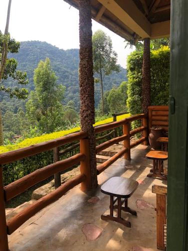 Vista, Bwindi Forest Lodge in Kanungu