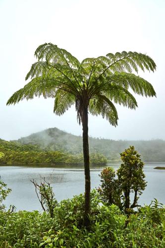 InterContinental Dominica Cabrits Resort & Spa, an IHG Hotel