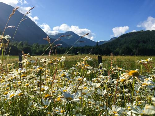 Glen Nevis Holidays