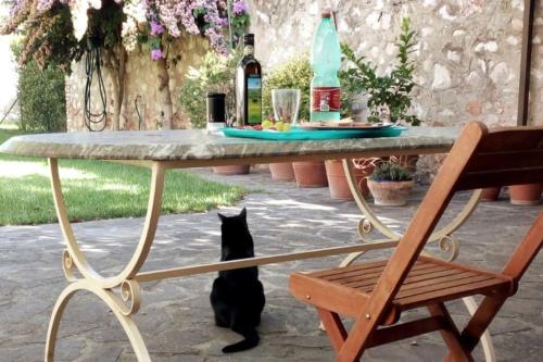  Home Garden, Unterkunft in Grosseto