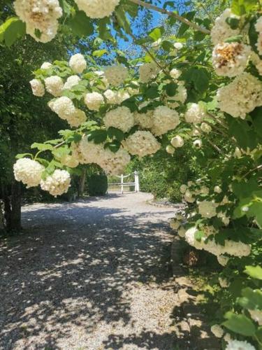 Le Clos de la Rose gite bien être