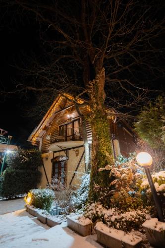 Viesnīcas āriene, Villa Garden Hotel in Solochyn