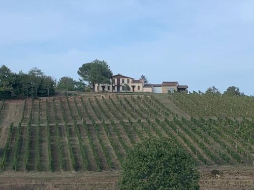 Gîte au cœur du vignoble bordelais