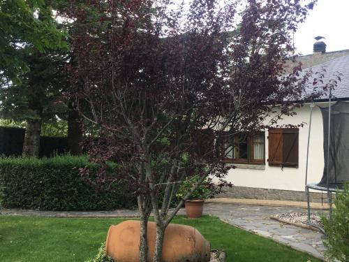 Villa Aurelia - Casa de campo con jardín y piscina entre Madrid y Segovia