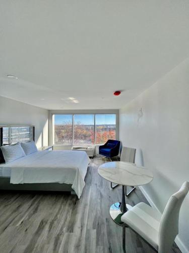Queen of Charm Luxury Suite Downtown Hartford Location!Location!Location! - Apartment - Hartford