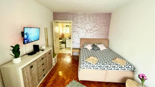 Downtown apartman T