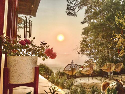 Lengkeng Da Lat Homestay - 주변 환경