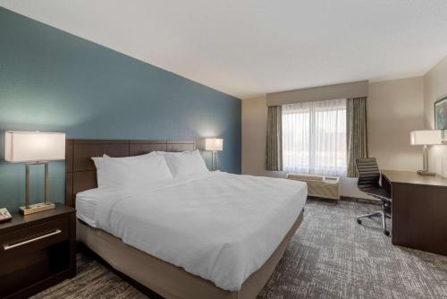 1 king bed