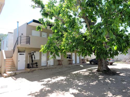 One-Bedroom Apartment image 10
