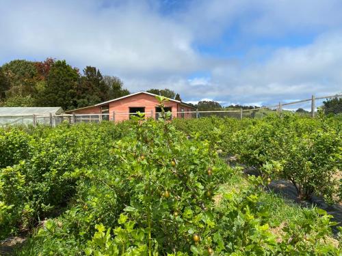 Cabaña Nueva en Ancud Chiloe