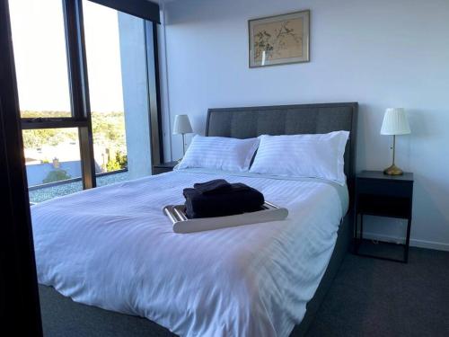 Guestroom, Central Canberra City apartment with study and full amenities. in Majura