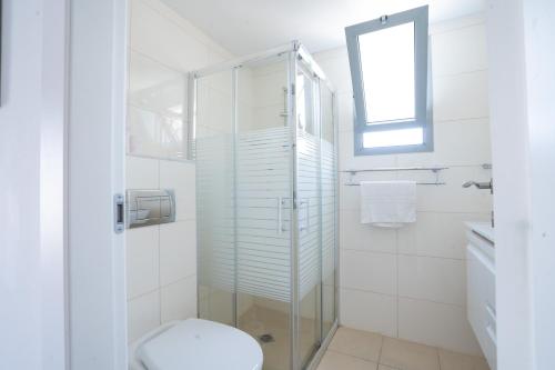 One-Bedroom Apartment image 4