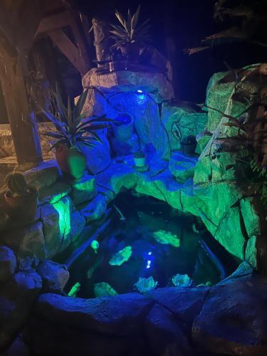 Ti case bord de mer in Sainte Anne