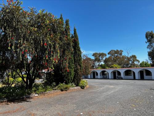 Garden, Azalea Motel in Coonabarabran
