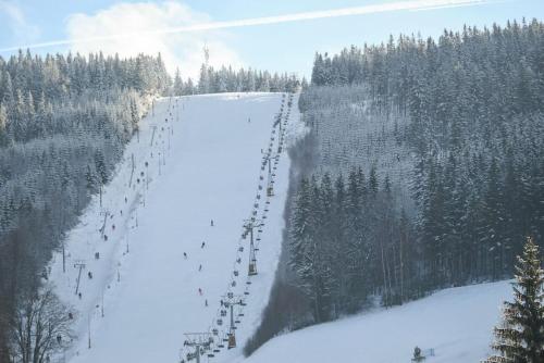 Apartmán Adam Deštné v Orlických horách (Apartman Adam Destne v Orlickych horach) in Destne V Orlickych Horach