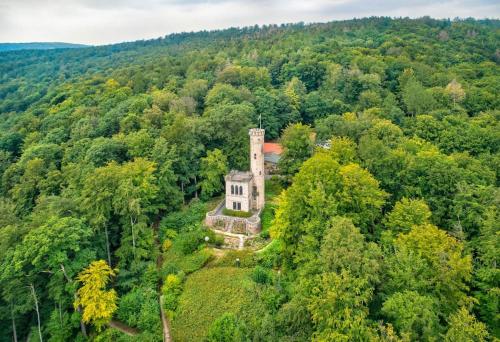 Ferienwohnung Royal im Tilly Boardinghouse