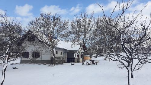  István Pince Vendégház in Zamárdi
