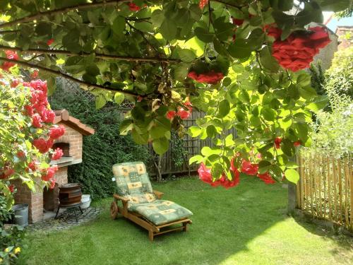 Dārzs, Ferienhaus Teubner in Merkendorf (Bavaria)