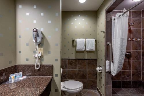 Comfort Suites Perrysburg - image 12