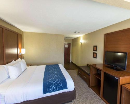 Comfort Suites Idabel - image 11