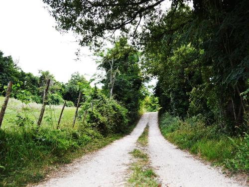 Fattoria Bio L'A Ceccoli