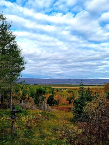 Kaldá Lyngholt Holiday Homes - image 9