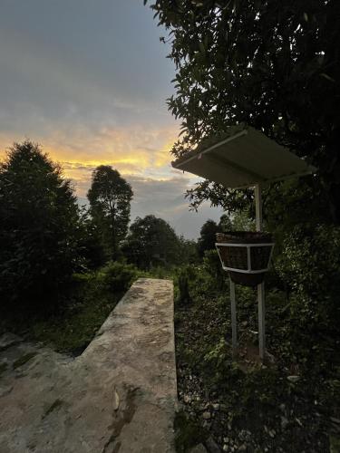 The Nettle and Fern Farmstay