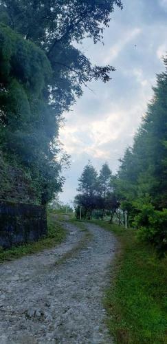 The Nettle and Fern Farmstay